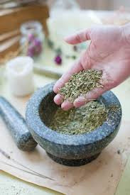 Unleash Your Inner Warrior: Why Men Need Adaptogens Now More Than Ever