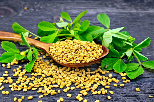 Nurturing Beauty and Balance: Herbs for Breast Health and Women’s Wellbeing